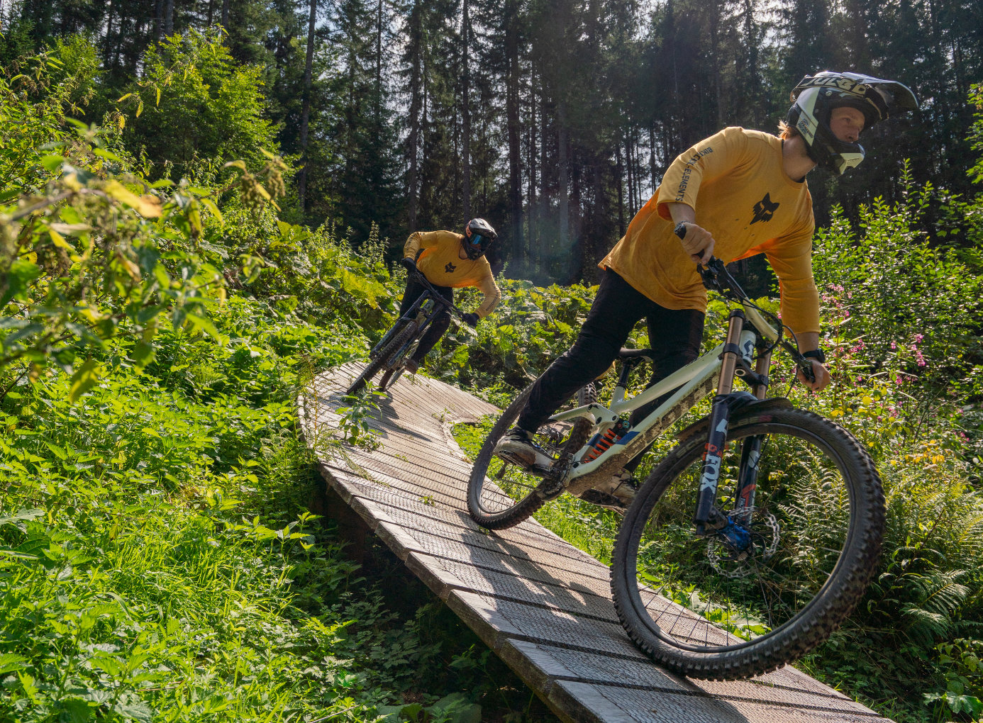 downhill-and-freeride-school